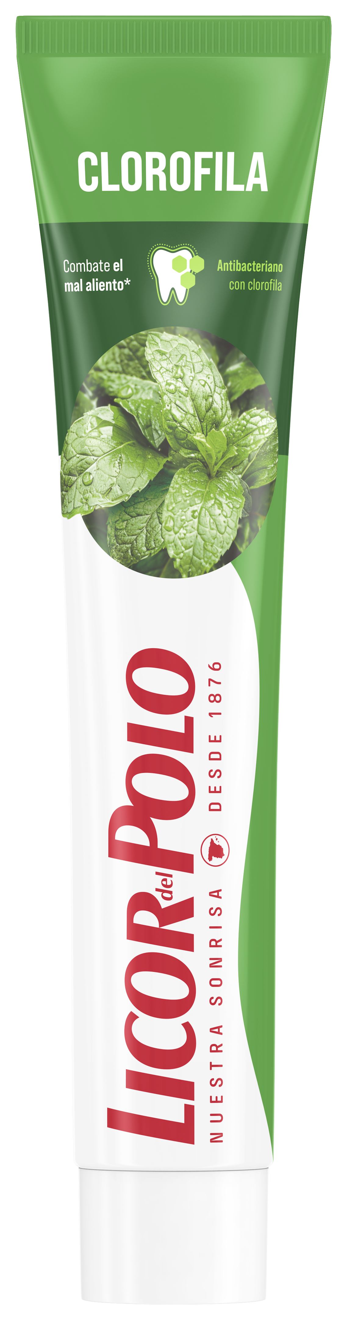 Clorofila